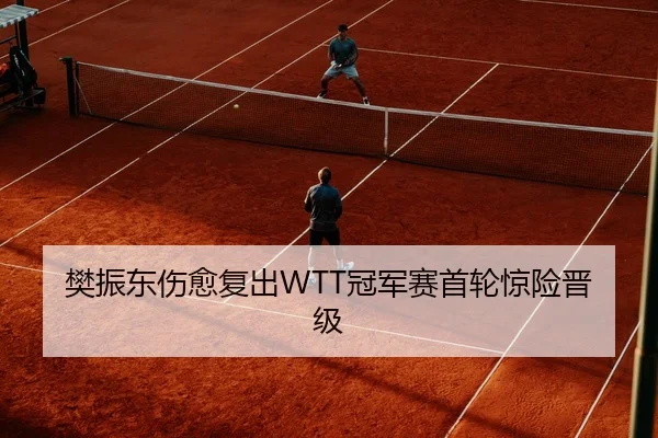 樊振东伤愈复出WTT冠军赛首轮惊险晋级